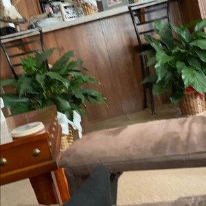 Meet your Posher, Niki